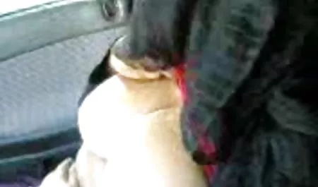 તેલ લગાવેલુ ગાંડ યુવાન સેક્સ પોર્ન પામેલા મોરિસન fucked મોટો લોડો