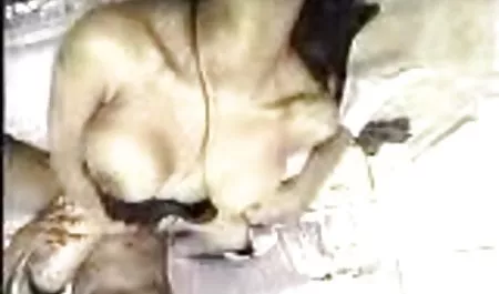 પત્ની જોઈ pornolady રહ્યાં છે huby