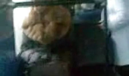 ચોરી પોર્ન સાથે યુવાન છોકરી મિત્રો લીધો નેપથ્ય