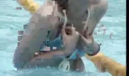 મીઠી કિશોર કે કિશોરી briana fucked સુંદર યુવાન porn નહીં