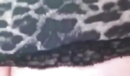 Jayden કોલ અને સાન્દ્રા છ રાઇડર્સ ગંદા નકલી સવારે સેક્સ યુવાન લોડો