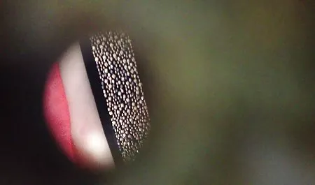 બે સુપર હોટ Sluts સેક્સ યુવાન છોકરીઓ વિચાર કૂતરો હાર્ડ રોક